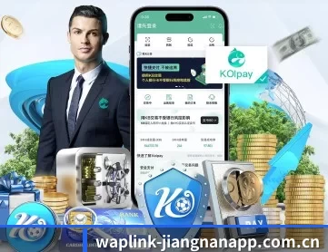 jn体育 APP